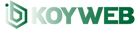Köyweb - Hazır Köy Sitesi, Profesyonel Köy Yönetimi