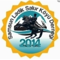 salur-koyu