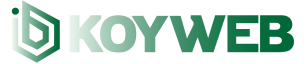 Köyweb - Hazır Köy Sitesi, Profesyonel Köy Yönetimi